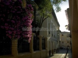 Mula Antigua serie-2